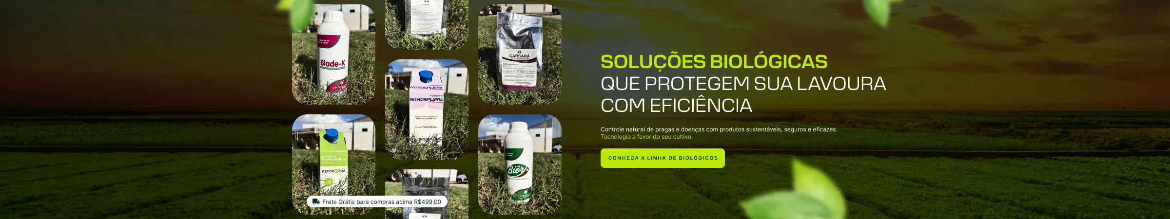 Banner Principal 2