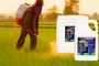 Fertilizante Cálcio e Boro 5L – Alta Solubilidade