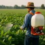Fertilizante Foliar Potássio 5L – Alto em Nutrientes