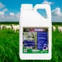 Fertilizante Pastagem - Alta Performance Forrageiras